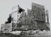 Castell de l'Albi (6)