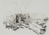 Castell de l'Albi (19)