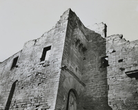Castell de l'Albi (11)