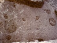 Memòria del seguiment arqueològic dels rebaixos a la capella de Sant Vicenç dels Castell del Lluçà (Osona) 1987