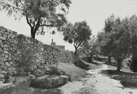 Ruïnes d'Olèrdola (16)