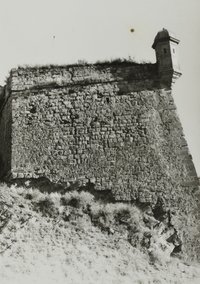 Castell de Cardona (4)