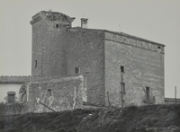 Castell de l'Aranyó (8)