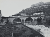 Pont sobre el Llobregat (5)