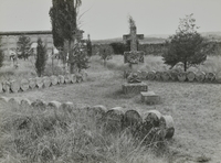 Cementiri de Sanaüja (3)