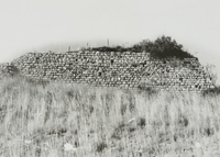 Necròpolis del Bosquetó (8)