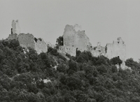 Castell de Palafolls (1)