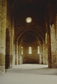 Església de Sant Joan d'Isil (17)