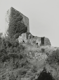 Castell de Riner (2)