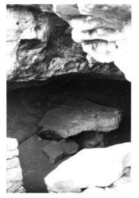 Cova del Maquis (1)