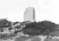 Castell de Castellfollit (1)