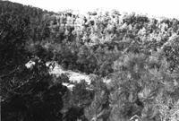 Abric Prop de la Roca del Frare (1)