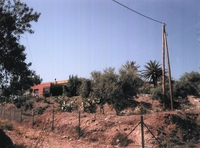 Fons de Cabana del Puig de l'Àliga (1)