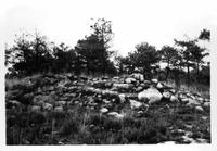 Túmul de Pedrafita (2)