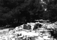 Necròpolis del Coll del Moro. Sector Camp Teuler (2)