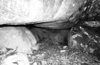 Cova de l'Abella (2)