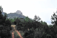 Torres d'Altafalla (1)
