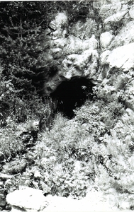 Mines de Rocabruna (3)