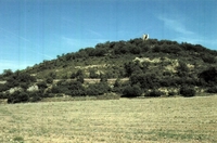 Torre de Masos de Millà (1)