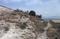 Serra de Bellmunt (1)
