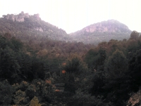 Cova del Roquero (1)