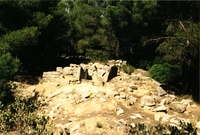 Necròpolis del Coll del Moro. Sector Camp Teuler (5)