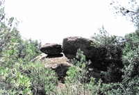 Roca Gravada dels Rogerals II (1)