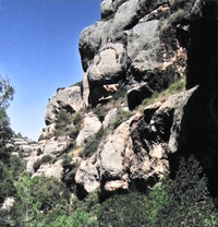 Cova de la Teixeda (1)