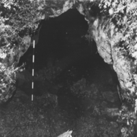 Cova dels Frares (1)