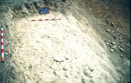 Memòria de l'excavació d'urgència al jaciment de les Pruelles (Sitges, el Garraf)