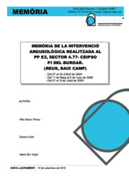 Memòria de la intervenció arqueològica realitzada al PP E2, sector 4.77-CEIPSO Pi del Burgar