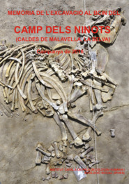 Memòria de l'excavació al BCIN del Camp dels Ninots