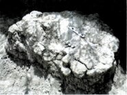 Memòria de l'excavació paleontològica d'urgència de restes de quelonis a Polinyà (Vallès Occidental)