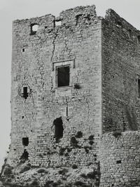 Castell de Savallà (5)