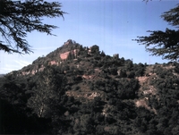 Muntanya d'Escornalbou (1)