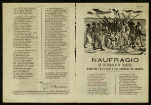 Naufragio de un bergantin francés : acaecido en la costa del desierto de Sahara