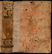 Liber de vita Jhesu Christi non ille de infantia salvatoris apocriphus sed ex serie evangelice hystorie collectus [Lió] : Johann Siber, [1487]