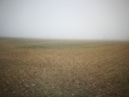 Memòria de la prospecció superficial i estudi de l'impacte sobre el patrimoni cultural (arqueològic, paleontològic i arquitectònic). Projecte plantes solars fotovoltaiques Granyena I i II i les seves infrastructures d'evaluació