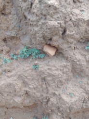 Memòria de la intervenció arqueològica preventiva a la PSFV la Vinatesa