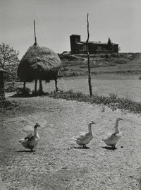 Sant Cugat de Gavadons (1)